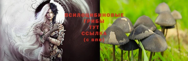 соль ск Аркадак
