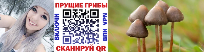 цены наркотик  кракен tor  Псилоцибиновые грибы MAGIC MUSHROOMS  Слободской 